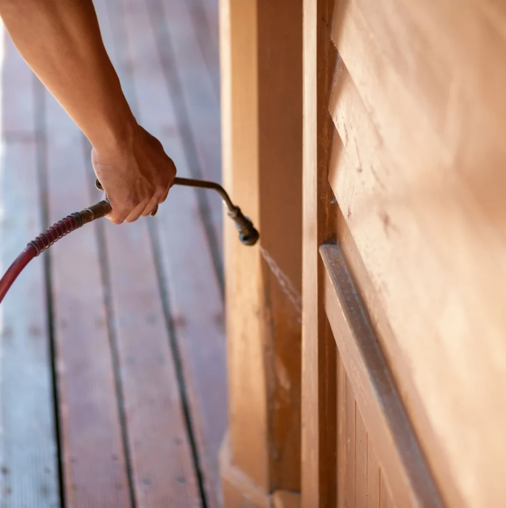 Trusted Pest Control - Smithtown Best Pest Pros | Smithtown, NY | 631-735-6118